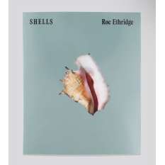 Livre Photo - Shells de Roe Ethridge