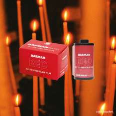 Pellicule couleur Harman Red 35mm 125 ISO